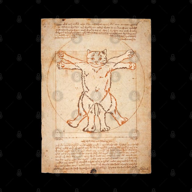 Vitruvian Cat by darklordpug