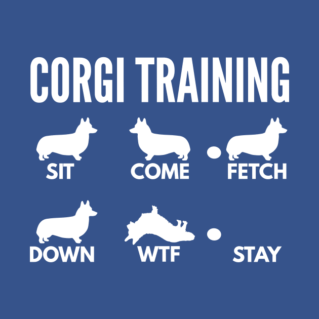 Corgi Training Corgi Dog Tricks by DoggyStyles
