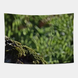 Mossy Stump Borde Tapestry