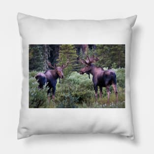 Two Moose Pillow