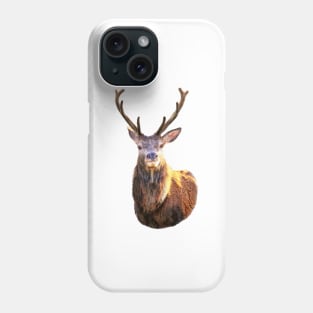 Monarch of the Glen Phone Case