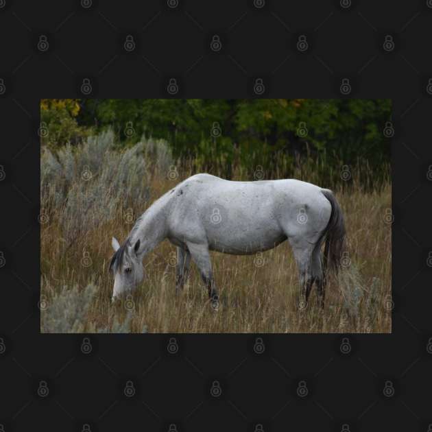 Grey Wild Horse by MarieDarcy