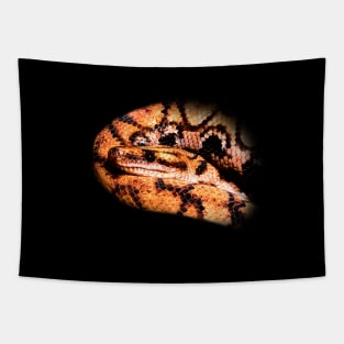 Rainbow boa Tapestry