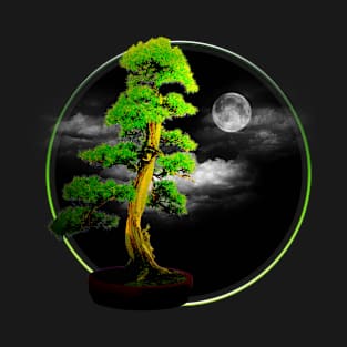 Bonsai tree (night) T-Shirt