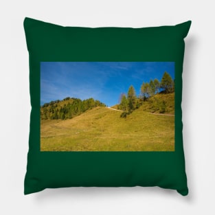 Laghi di Festons Alpine Meadow, Italy Pillow