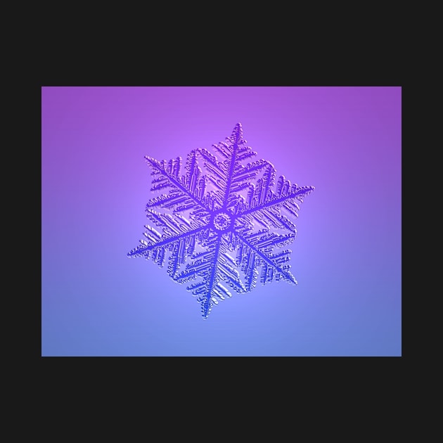 Violet Blue Fractal Snowflake by sciencenotes