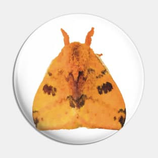 Io Moth Pin