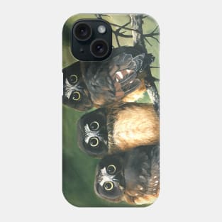 Saw Whet Owls Phone Case