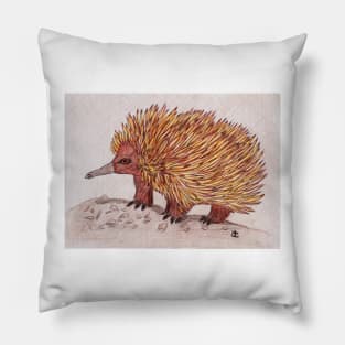 Echidna Pillow