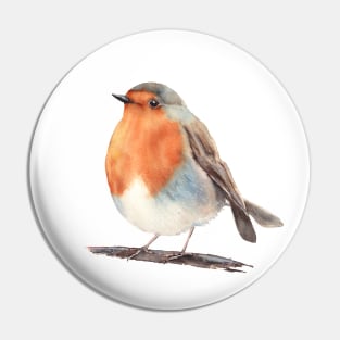 Cute robin bird painting Pin