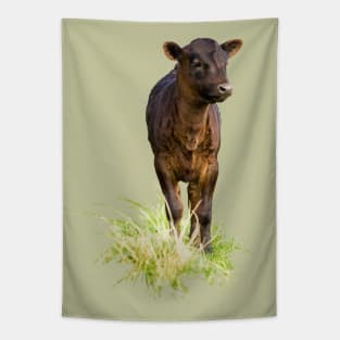 Dexter Cow Tapestry