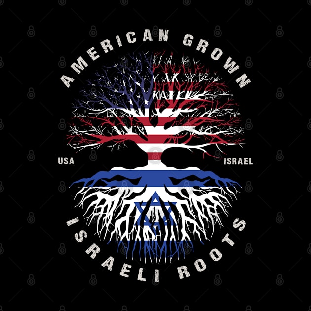 American Grown Israeli Roots Israel Flag by heart teeshirt