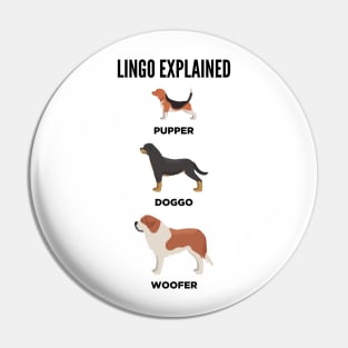 Lingo Explained Pin