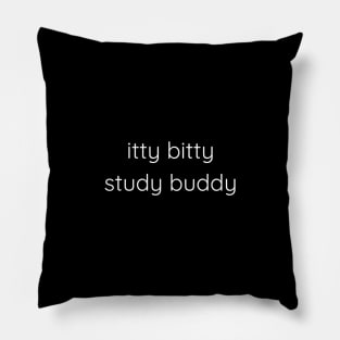 Itty Bitty Study Buddy Pillow