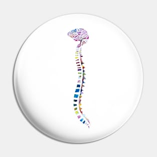 Funfetti Brain and Spine (White background) Pin