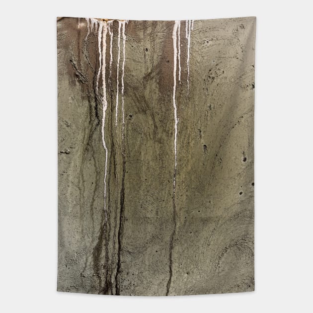 Cracked Concrete Wall Leak Showing From Ageing Process Tapestry by textural