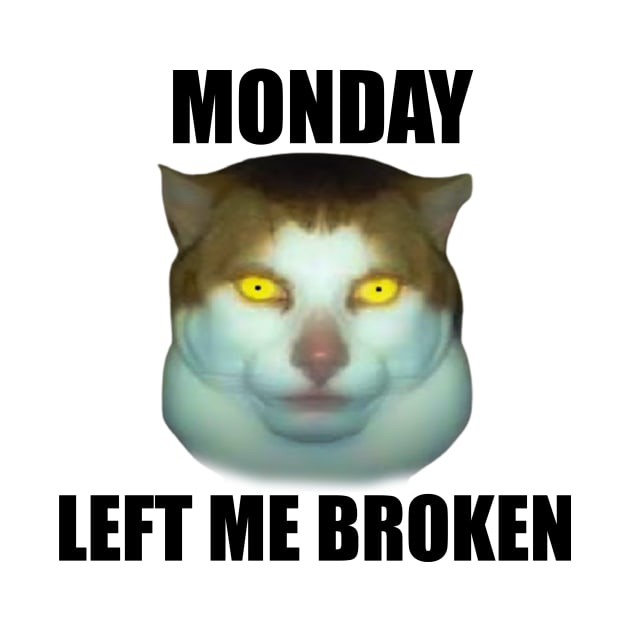 Monday Left Me Broken Cat | Funny Meme T-Shirt | Oddly Specific Shirt | Weird by Y2KSZN