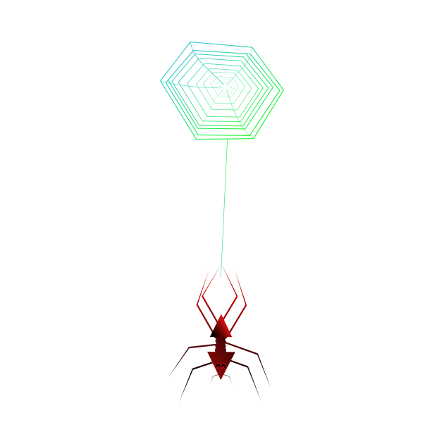 geometric spider hanging from the web by VISUALIZED INSPIRATION