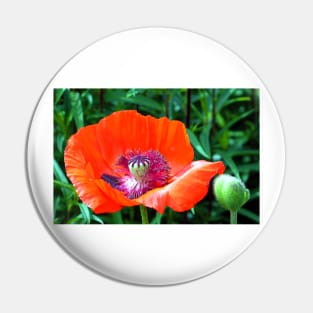 Red Poppy Pin