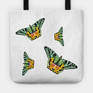 Colorful Butterfly , Cute Light Butterflies Gift Idea Tote