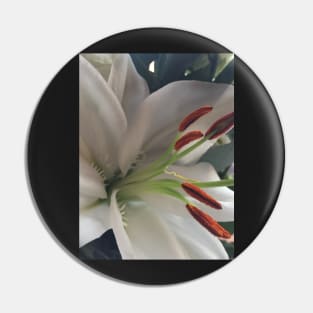 Soothing, Relaxing, Pure White Oriental Lily - For Friendship and Weddings Pin