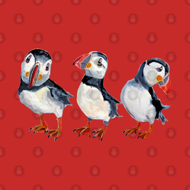 Puffins by msmart