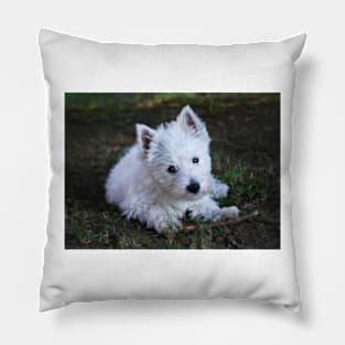 Westie Pillow