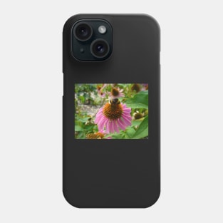 Bumble Bee on Echinacea Phone Case