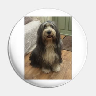 Bearded Collie - Good Boy Beardie Pin