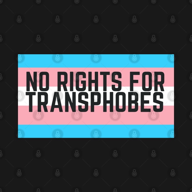 NO RIGHTS FOR TRANSPHOBES by goblinbabe