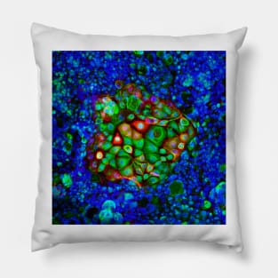 Colorectal cancer cells, light micrograph (C021/6371) Pillow