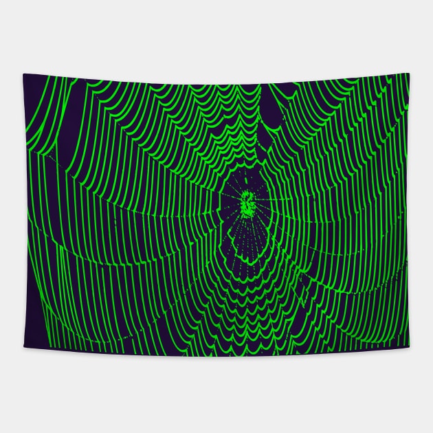 Artistic Halloween Spider Web Cobweb Doodle In Green Tapestry by taiche