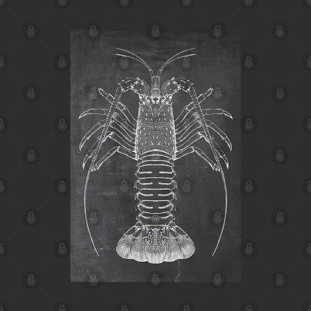 Lobster Chalkboard by JoolyA