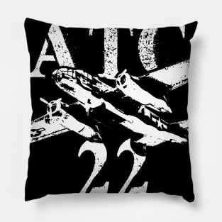 Catch 22 Plane Fly By Pillow