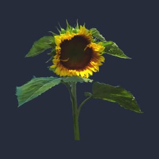 Sunflower With Frilly Edge T-Shirt