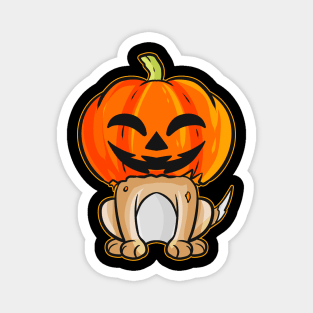 Laughing Pumpkin Head Dog Puppy on Halloween Magnet