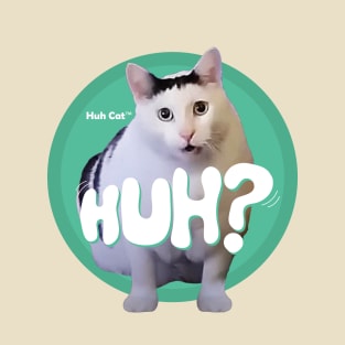 Huh Cat Meme T-Shirt