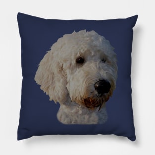 Blonde Goldendoodle Dog Pillow