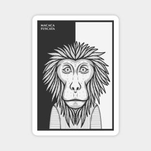 Japanese Macaque Monkey Magnet