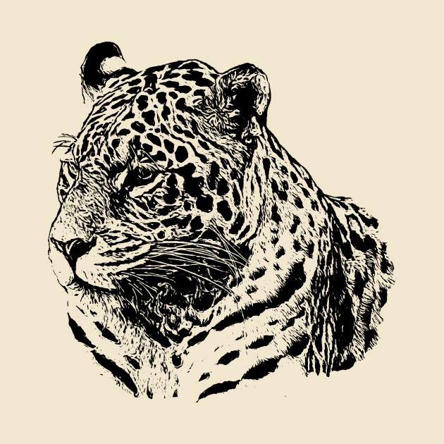 Jaguar portrait by Guardi