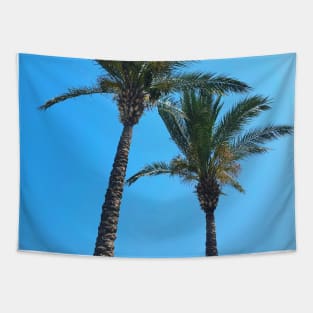 Pretty picture of a Palm Tree. Pretty Palm Trees Photography design with blue sky Tapestry