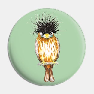 Brahminy starling Pin