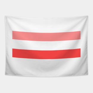 Pink Stripes Tapestry