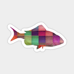 Geometric Rainbow fish Magnet