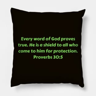 Bible Verse Proverbs 30:5 Pillow