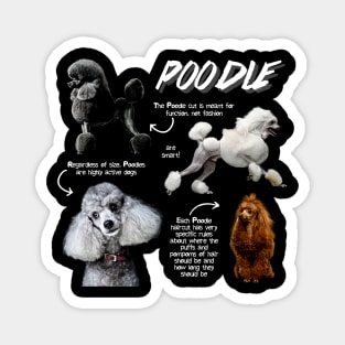 Poodle Fun Facts Magnet