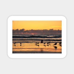 Sunrise on Cocoa Beach, Florida Magnet