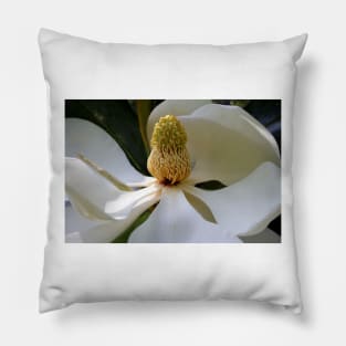 Inner Beauty Pillow