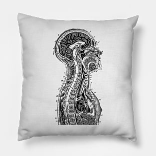 Upper Body Diagram - Vintage Anatomy Pillow