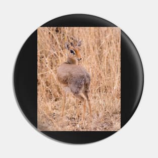 Dik Dik Pin